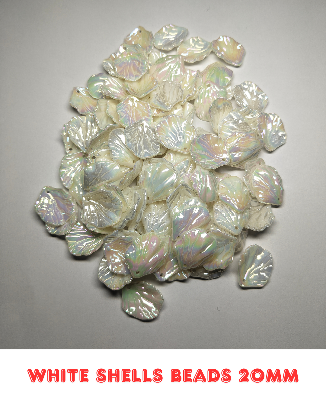 White Shells Beads 20mm (Pack of 100)